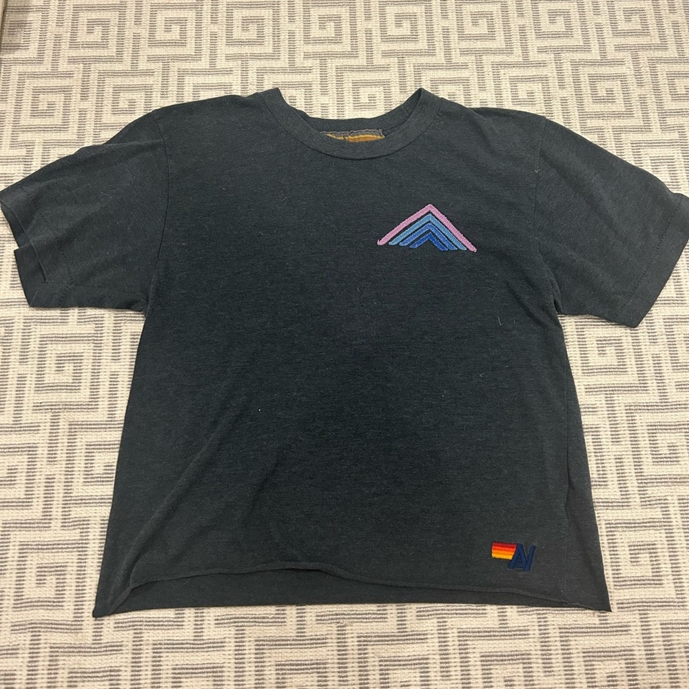 Aviator Nation Charcoal Tee with Gold Accent